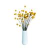 Flor seca bola dorada Yunnan ramo de flores secas bola flor seca bola dorada ramo de flores de flor de maza dorada
