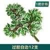 Ramas de Árbol de Simulación Enverdecimiento Hojas de Árbol Falsas Decoración de Ingeniería de Jardín Accesorios para Actuaciones de Árbol Grande Hojas de Higuera Recubiertas de Pegamento Rama de Paisajismo