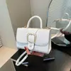 Bolso Pequeño Texchy 2024 Nuevo Bolso para Mujer Elegante Moda Bolso de Hombro Casual Estilo Coreano Moderno Indentación Bolso Cuadrado Pequeño