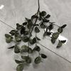 Folhas de Eucalipto Simuladas 72 Folhas Decoração de Casamento Eucalipto Mobiliário para Casa Plantas Verdes Paisagismo Flores Artificiais Folhas de Eucalipto Amazon