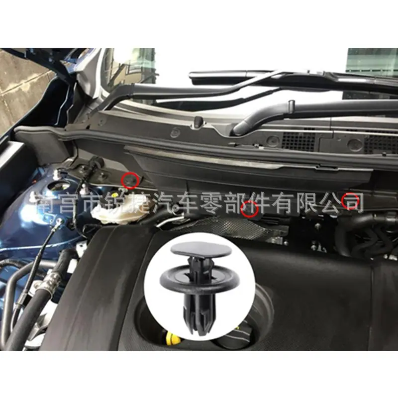 BGV456145 (3)