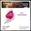 Velas Perfumadas de Caracola Atmosféricas, Regalos Creativos de Conchas, Recuerdos Navideños de Cumpleaños, Artículos Decorativos Fragantes de Ensueño