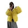 Nova jaqueta curta de algodão leve com capuz estilo coreano de inverno para mulheres, casaco de algodão moderno e quente estilo puffer