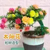 Mudas de Onze-horas de pétalas duplas, raízes perenes, ramos com raízes e botões florais, plantas em vaso, fáceis de cultivar em ambientes internos e externos, flores em todas as estações, plantas verdes, florindo