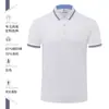 Ropa de trabajo de verano Camisa Polo logo word estampado personalizado manga corta para hombre y mujer ropa de fábrica Camiseta ropa de trabajo ropa personalizada diy