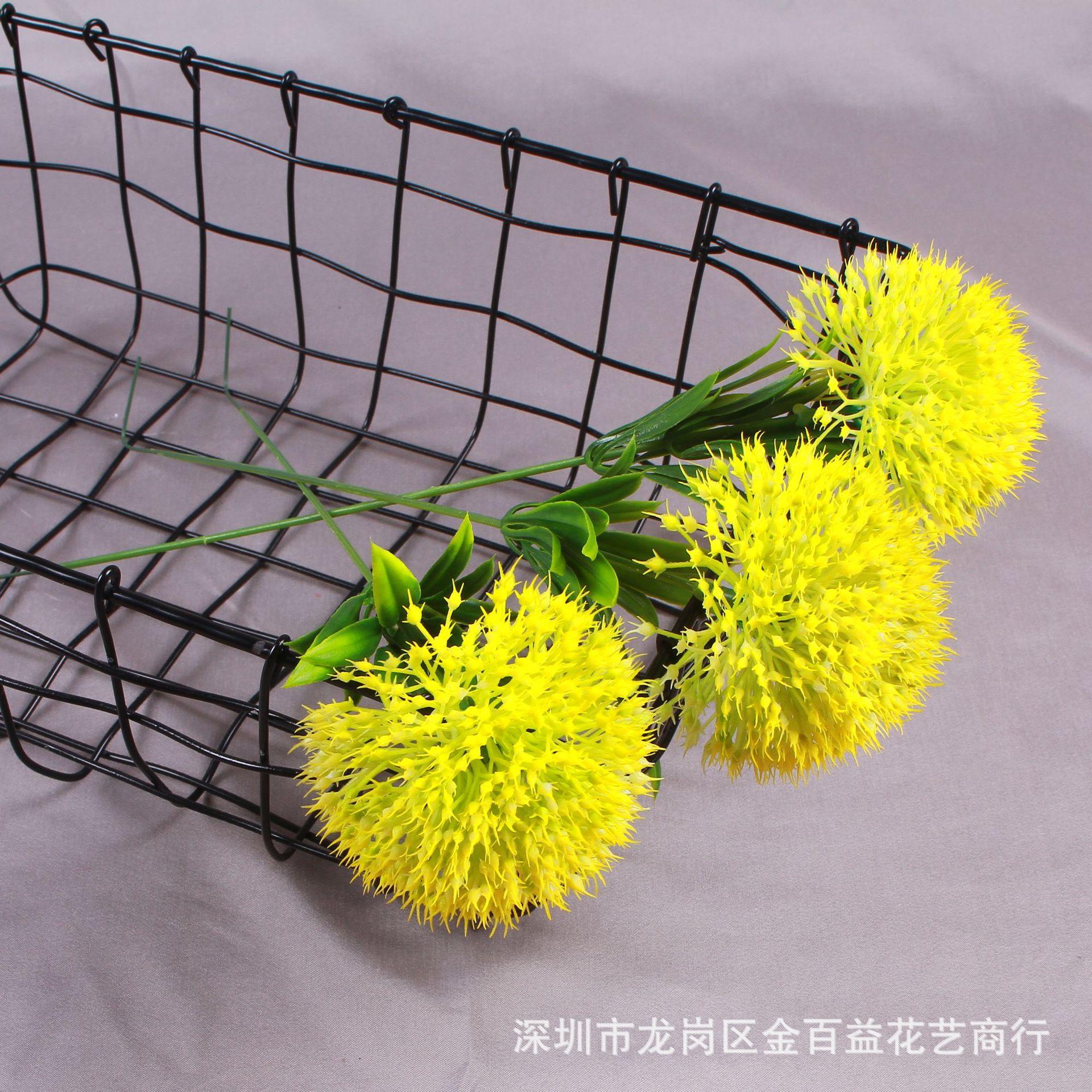 IMG_8548_副本.jpg