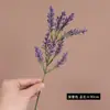 Espigas de Trigo Artificiais de Espuma para Decoração de Casa, Fotografia de Casamento, Arranjos de Flores Artificiais, Flores de Arroz com Pérolas Amarradas à Mão, Atacado de Comércio Exterior