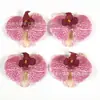 10cm Exquisiteza Cabeça de Flor Orquídea Borboleta Simulada Série de Cores da Primavera DIY Flor Artificial de Látex 3D para Arranjo de Flores, Acessórios de Cabelo e Decoração de Tiara