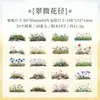 Pacote de Adesivos para Pet à Prova d'Água Transparentes Fragrância Campo Verde Manual de Paisagismo de Jardim Adesivo DIY Adesivo de Planta Flor Transfronteiriço