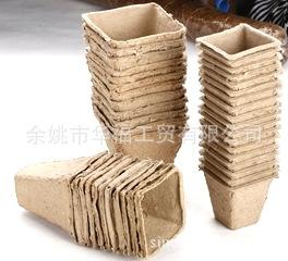 _H7A0266_看图王