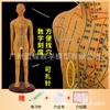 Modelo do Corpo Humano com Pontos de Acupuntura, Diagrama dos Doze Meridianos da Medicina Tradicional Chinesa do Corpo Inteiro, Modelo de Manequim de Cobre para Prática de Acupuntura, Pequeno Manequim de Pele