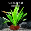 Plantas de Acuario, Decoraciones de Paisajismo con Césped Real, Plantas Aptas para Principiantes, Crisantemo Verde Ciempiés, Plantas de Sombra, Piedra Volcánica, Plantas Verdes Purificadoras de Agua