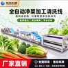 Xuzhong Linha de Limpeza e Processamento de Frutas e Vegetais Comercial Máquina Automática de Corte de Vegetais Lavagem Desidratação Secagem ao Ar Equipamento