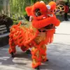 Juego Completo de Accesorios para Danza del León de Adulto, Suministros para Danza del León de Foshan, Cabeza de León del Sur para Danza del León, Juego Completo de Accesorios para Danza del León de Doble Cabeza