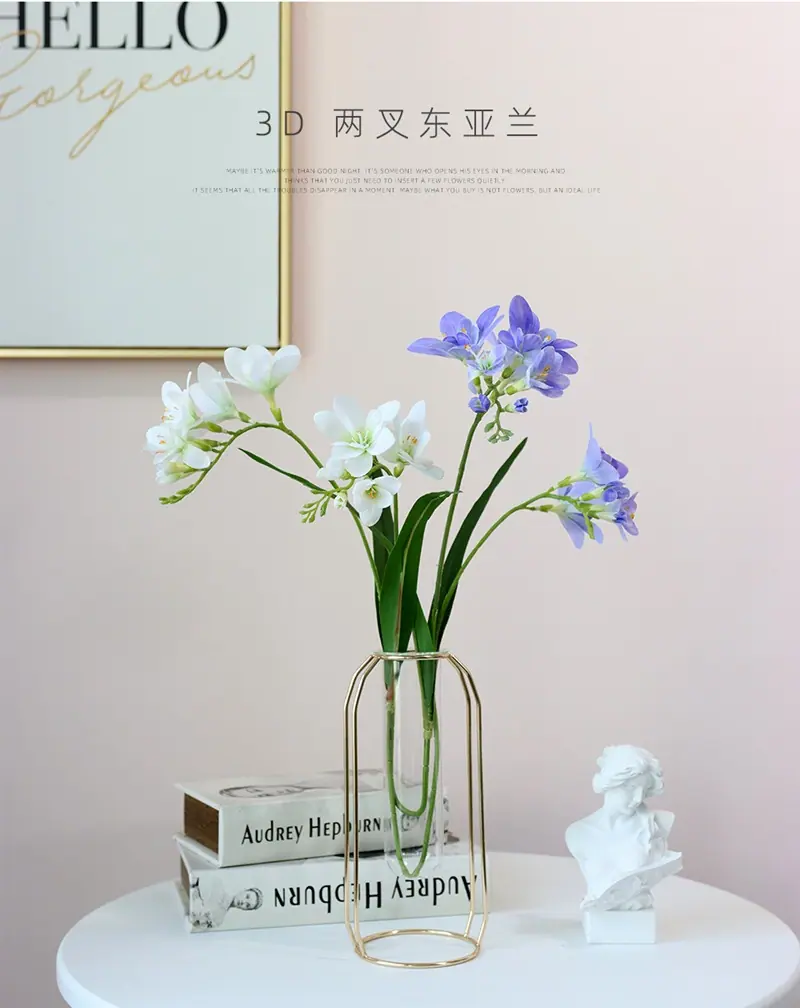 东亚兰1.jpg
