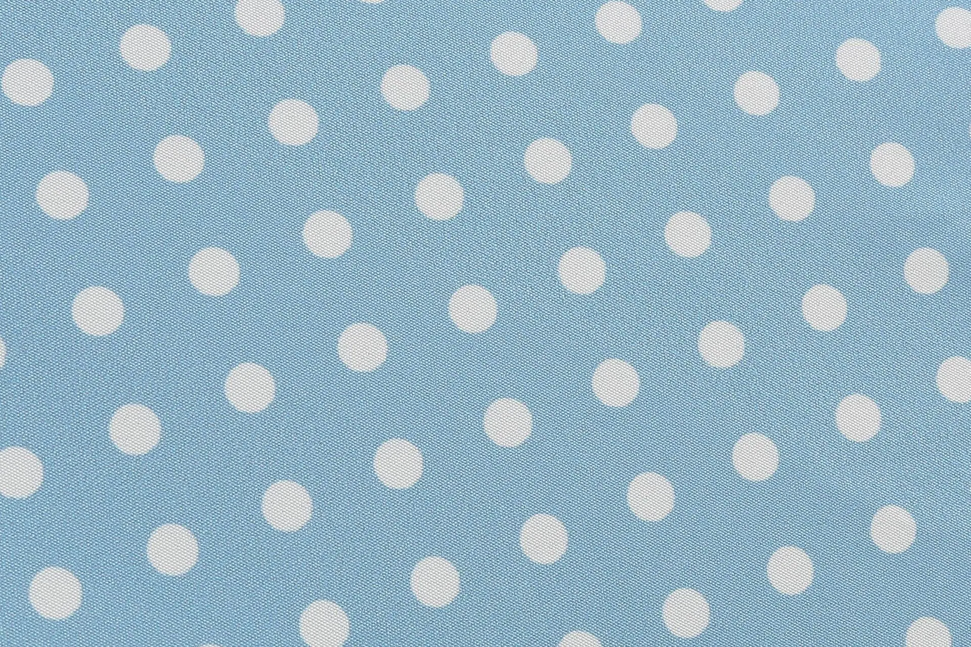 3D5A0313.JPG