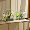 Acuario de PET personalizado, pecera transparente de oficina para tortugas, tanque ecológico pequeño de plástico irrompible y resistente a roturas para escritorio para paisajismo acuático