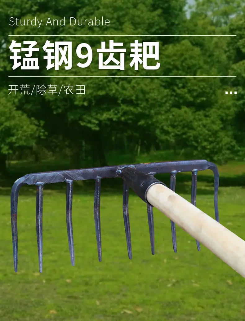 详情_01.jpg