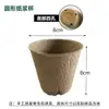 Copo de Mudas de Polpa Atacado com Furos Tigela Nutritiva Germinação de Sementes Suculentas Vaso de Flores para Mudas Descartável Biodegradável