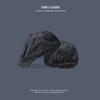 Gorra Octogonal Retro Estilo Japonés para Hombre y Mujer Marca de Moda Antidesgaste Boina Rayada Estilo Coreano Gorra de Repartidor Gorra de Pintor Británico