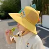 Sombreros para Niños, Transpirables de Verano con Protección Solar, Ala Ancha, Sombreros de Sol para Niños, Silbato, Sombreros de Pescador de Dinosaurios para Niños, Dibujos Animados