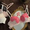 Lencería Dulce de Encaje Estilo Francés para Mujeres con Poco Busto, Push-Up, Fina, Nuevo Modelo Otoño e Invierno, Estilo Sexy y Atractivo, Sujetador para Chicas Jóvenes