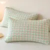 Fundas de almohada acolchadas a cuadros impermeables, juego de dos, nuevo modelo 2026 para uso doméstico, fundas interiores de almohada resistentes al aceite y a la suciedad