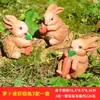 Suministro transfronterizo mini adornos de conejito bonsái musgo micro paisajismo decoraciones modelo animal manualidades de resina