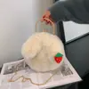 Bolsa de Conejo de Peluche para Mujer, Estilo Coreano, Bolso Lindo, Bolso Cruzado Peludo de Otoño e Invierno Nuevo con Orejas de Conejo y Cierre de Pinza