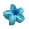 Presilha Colorida Fosca de Frangipani Pegador de Flor Bauhinia Acessórios de Cabelo Elegantes de Alta Qualidade para Senhoras Pegador Lateral Clip de Tubarão