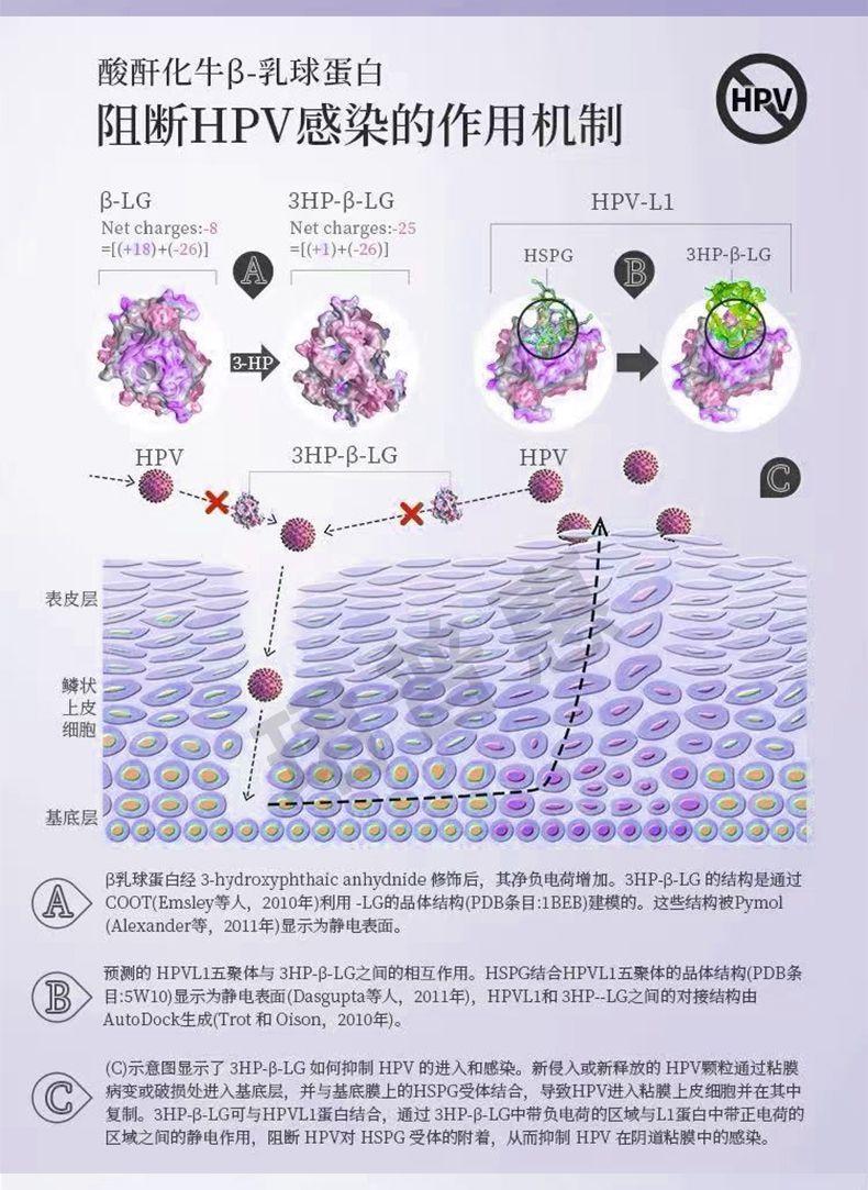 珺普惠医用抗HPV生物蛋白功能敷料病毒干扰素凝胶降低载量妇科阴