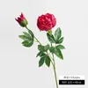 Decoração de casa estilo ins nórdico, buquê de peônias artificiais, peônia artificial fresca e simples estilo coreano com 2 cabeças de flor