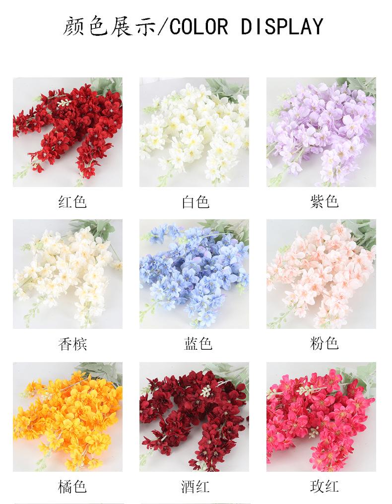 飞燕草_03.jpg