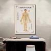 Medicina Tradicional China Carta de Puntos de Acupuntura del Cuerpo Humano Pintura Colgante Salón de Belleza Clínica de Salud Carta de Meridianos Pintura Decorativa Acupuntura Sala de Fisioterapia Pintura Mural
