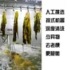 Mostaza de hierbas para catering 1 kg sabor original granja Ningbo mostaza de hierbas caja completa paquete grande comercial mostaza de hierbas encurtida venta al por mayor