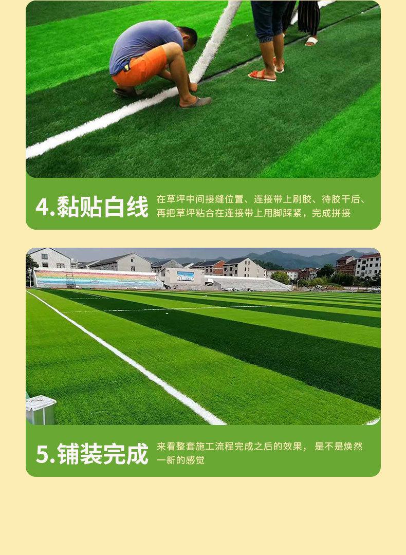 草坪--足球场免填充_10