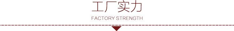 工厂实力