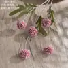Fabricante de Dientes de León Estilo Ins Flores Artificiales Flores Falsas Plantas Verdes Venta al por Mayor Decoración de Bodas Manualidades Transfronterizo