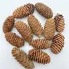 Paquete de materiales DIY hecho a mano flores mixtas plantas flores secas estilo bosque de jardín de infantes creación de anillos decoración piñas de Navidad