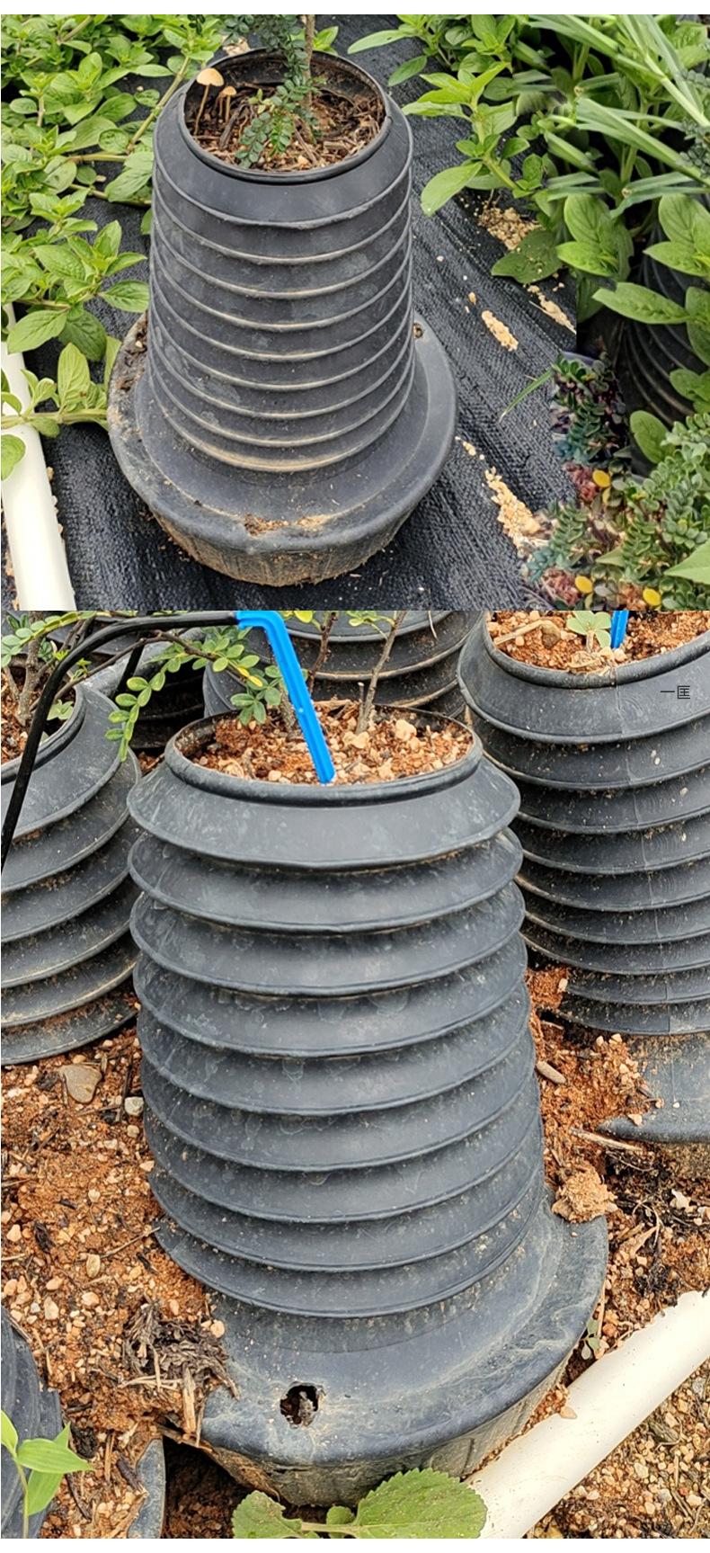 提根植物培育盆