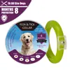 Coleira spot para cachorro repelente de pulgas animal de estimação gato cachorro coleira repelente de insetos óleo essencial repelente de pulgas coleira para animal de estimação