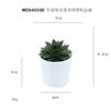 Set de Bonsái de Suculentas de Plástico Mini en Stock, Suculenta Artificial Creativa de Amazon, Flor Artificial Transfronteriza Planta en Maceta Pequeña