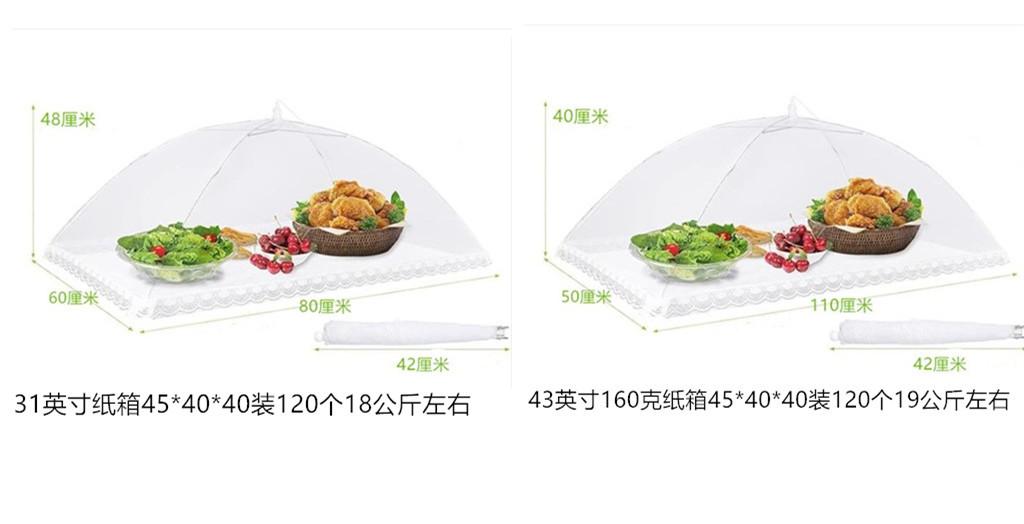 initpintu_副本