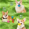Brinquedo Sonoro para Roer de Pet Brinquedo para Alívio do Estresse Brinquedo de Simulação Bola Brinquedo Bola de Expressão