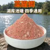 Isca para Carpa Crucian Peixe Algas 500g a granel sem pó de trefilação especial para Carpa Crucian de prato grande Lago Biblioteca isca de pesca