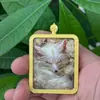 Pintado à Mão Dourado Raposa de Nove Caudas Espírito da Raposa Thangka Pingente Buda Amuleto Colar Caixa Gawu Guanyin Zaki Lamu Thangka