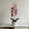 Gran Adorno de Bonsái de Orquídea Phalaenopsis de 6 Flores Decoración Artificial de Flores para el Hogar Accesorio para Fotografía de Bodas Planta Artificial de Flores