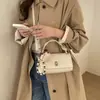 2026 Nuevo Bolso Cuadrado Pequeño de Diseño de Nicho con Cierre de Solapa, Bolso de Hombro Cruzado de Moda para el Trabajo, Bolso de Mano con Patrón de Lichi