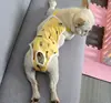 Pañales para Mascotas, Pantalones Fisiológicos para Perros, Almohadillas de Pañal para Teddy, Pantalones Menstruales para Teddy, Pantalones para la Menstruación de Mascotas, Estilo Hoja y Pez