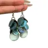 Pendientes de Borla de Disco de Concha Nicho Simples Elegantes Versátiles Ganchos para Orejas Lujo Ligero Moda Pendientes de Gama Alta Venta al por Mayor Mujer